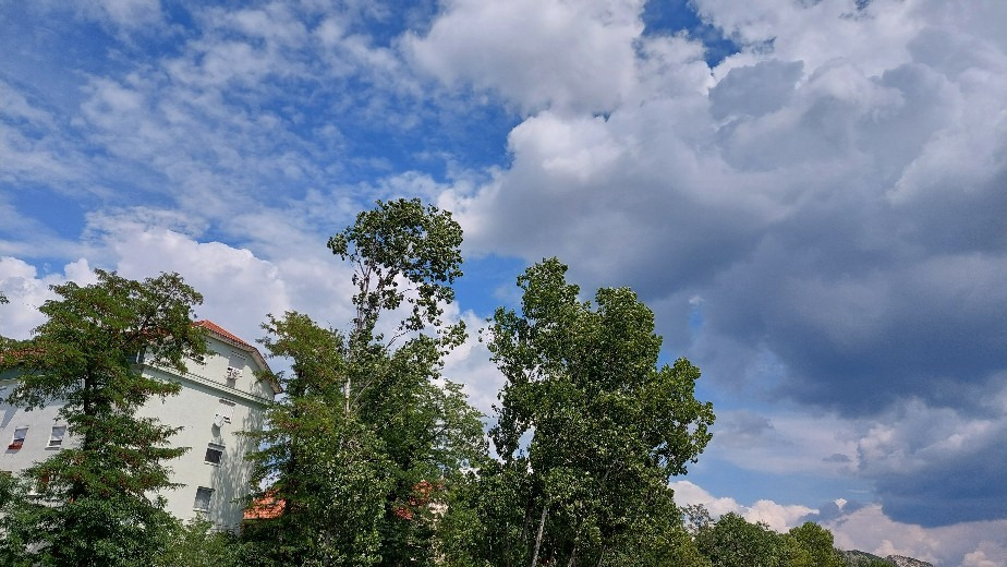 Dorog