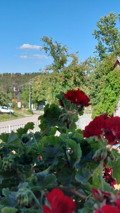 Bajna