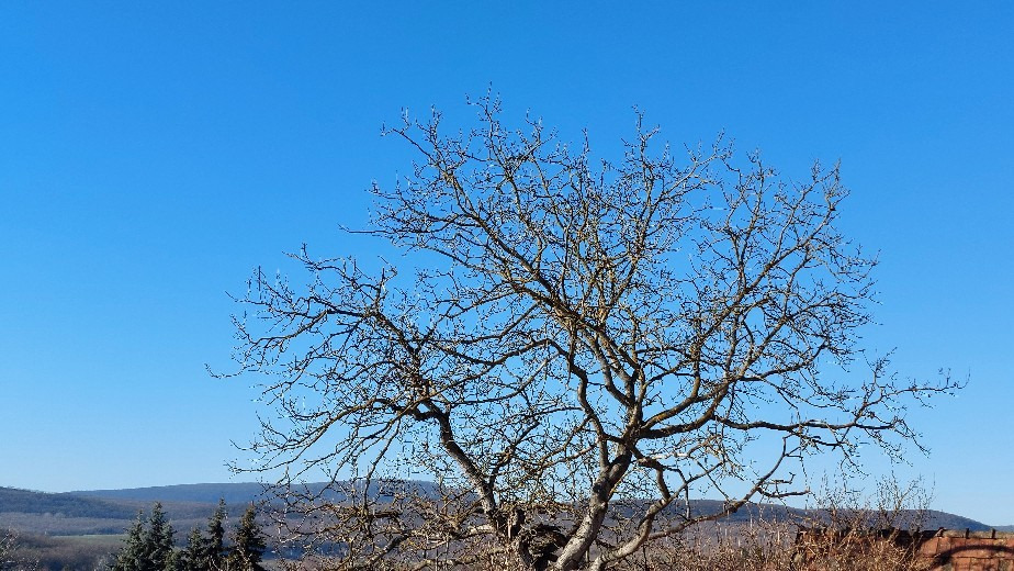 Bajna