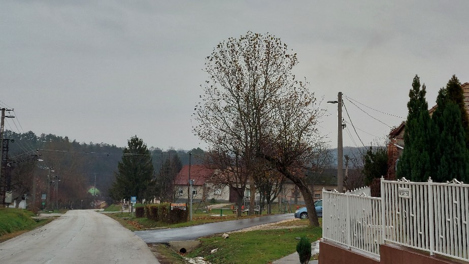 Bajna