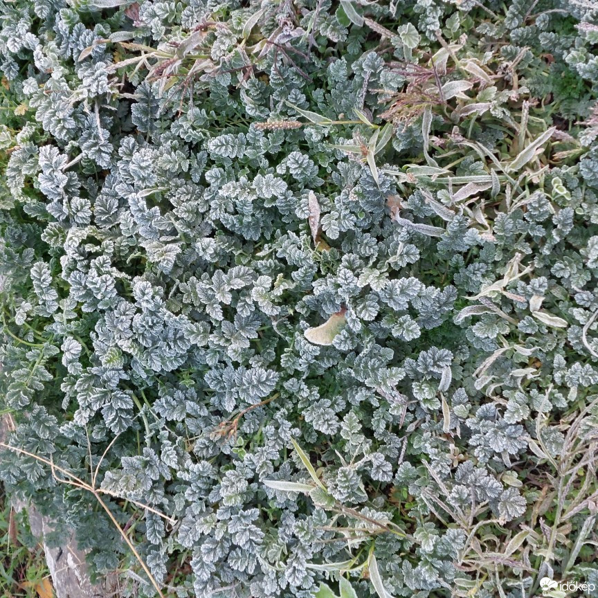 Bajna