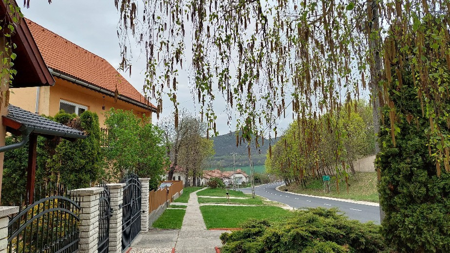 Bajna