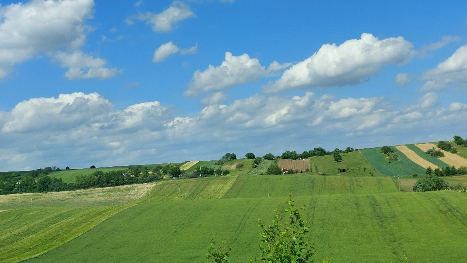 Bajna