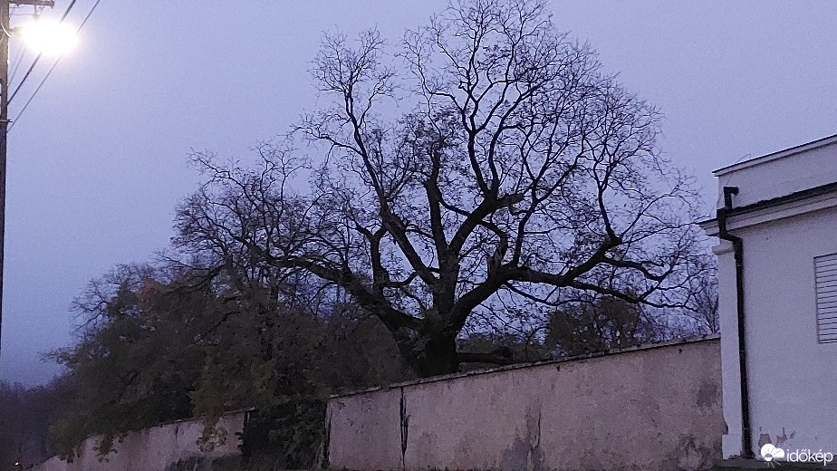 Bajna