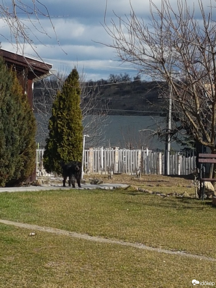 Bajna