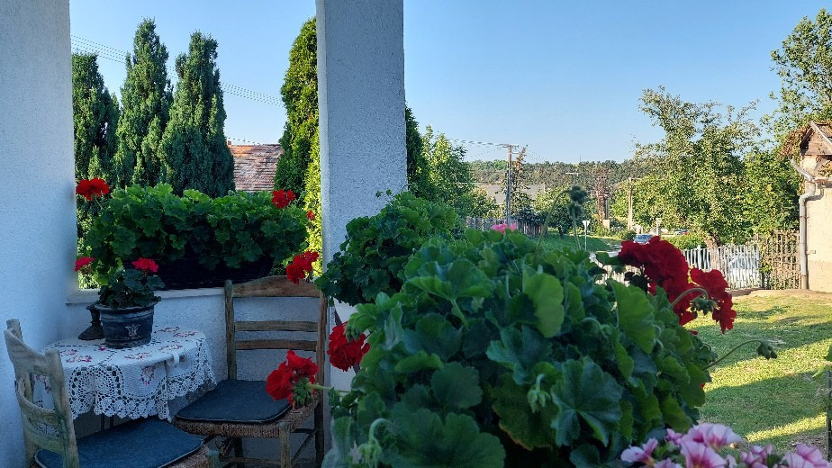 Bajna