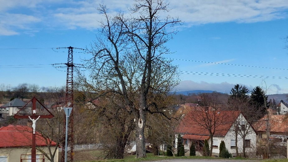 Bajna