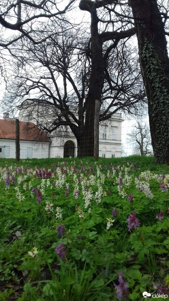 Bajna