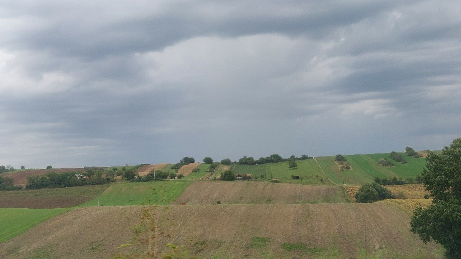 Bajna
