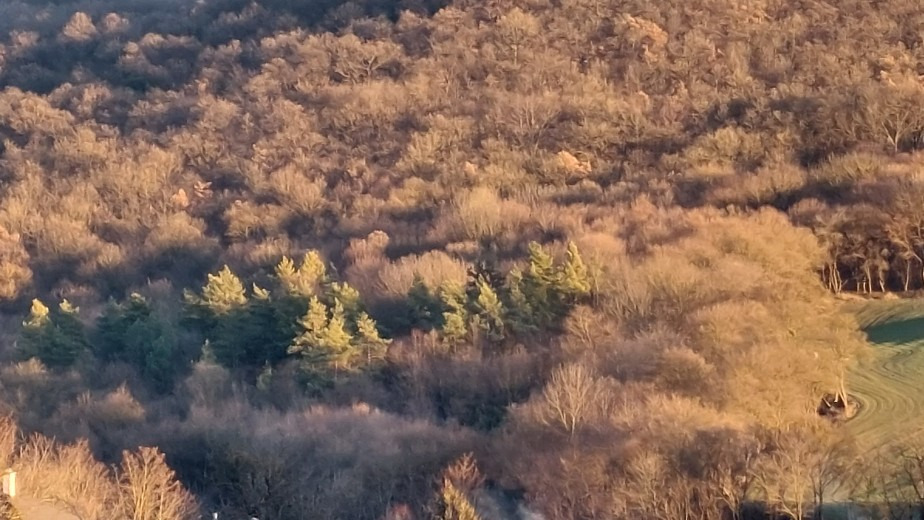 Bajna