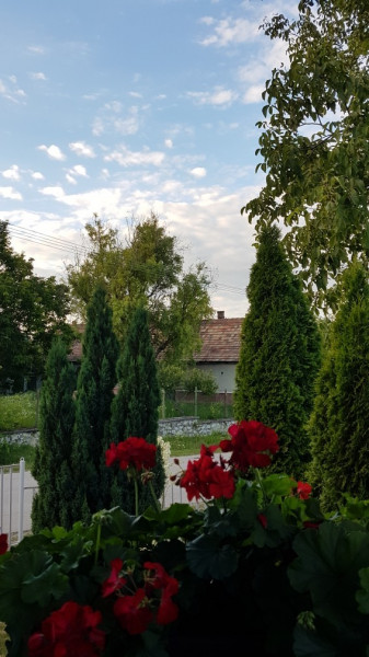 Bajna