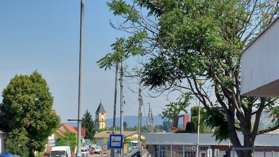 Dorog