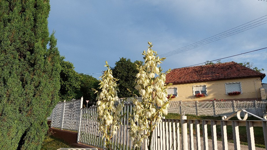 Bajna