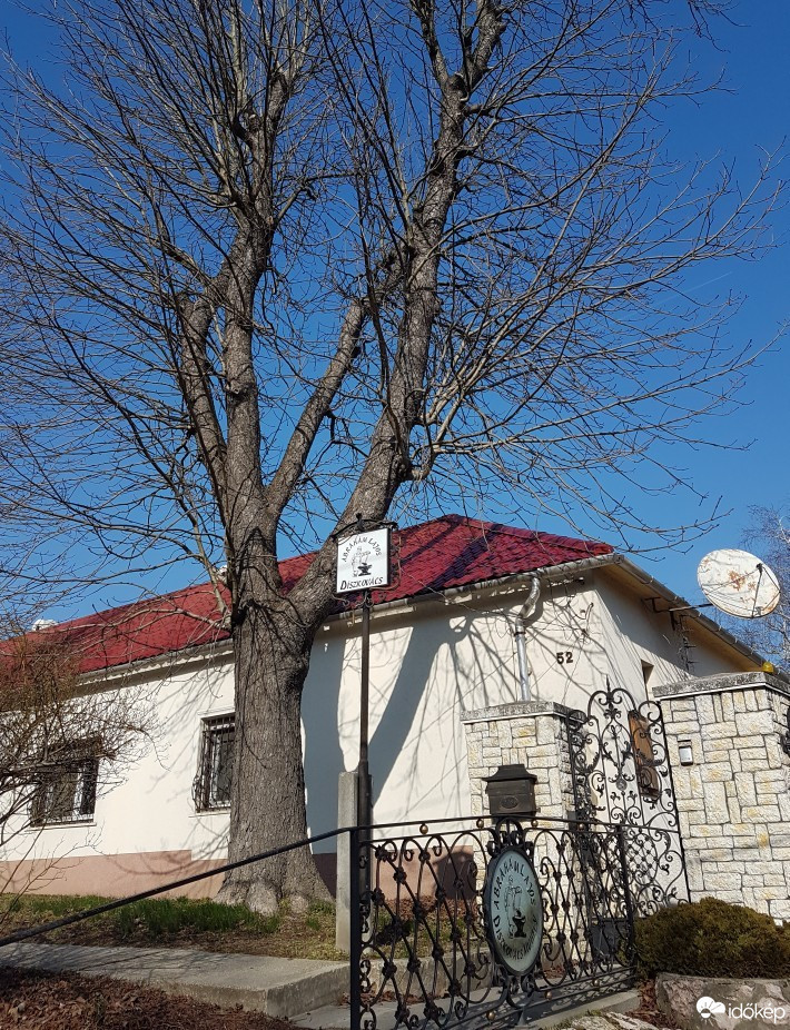 Bajna