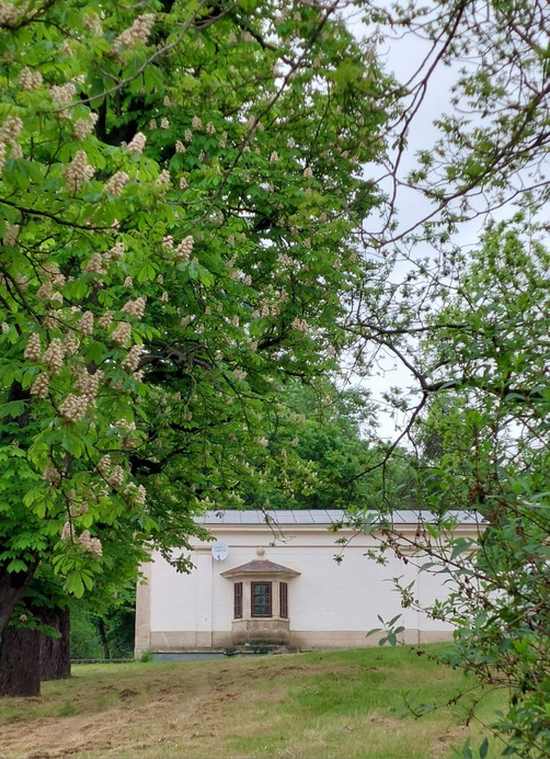 Bajna