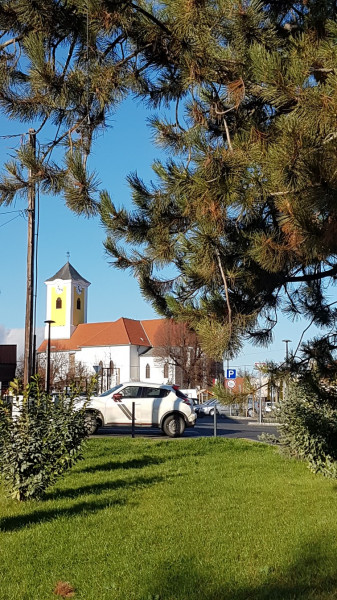 Bajna