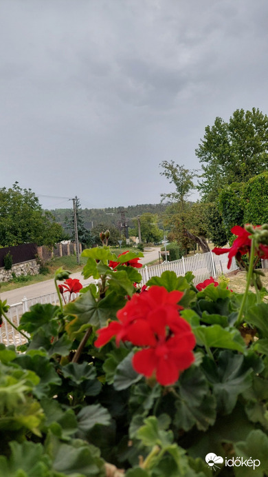 Bajna