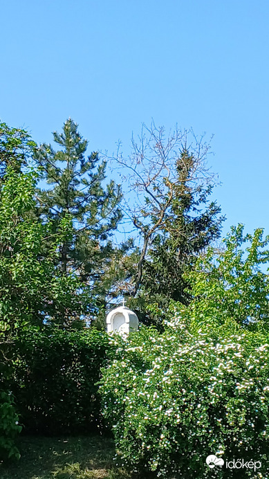 Bajna