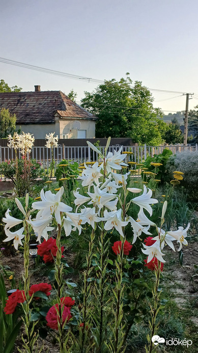 Bajna