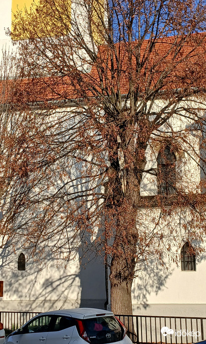 Bajna