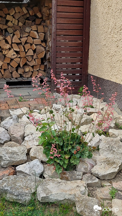 Bajna