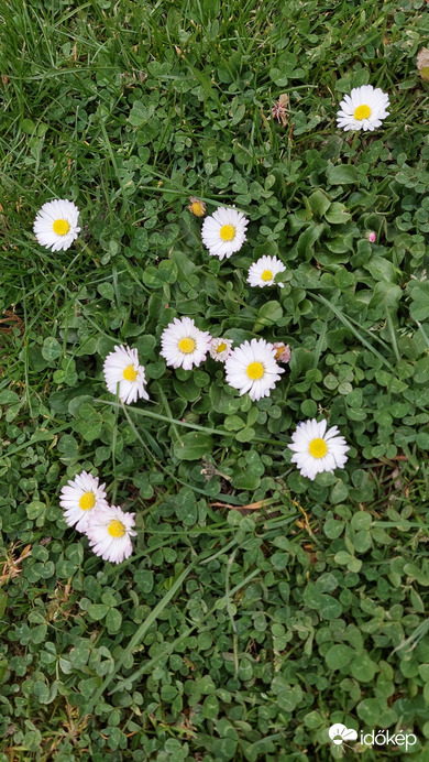 Bajna