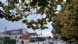 Bajna