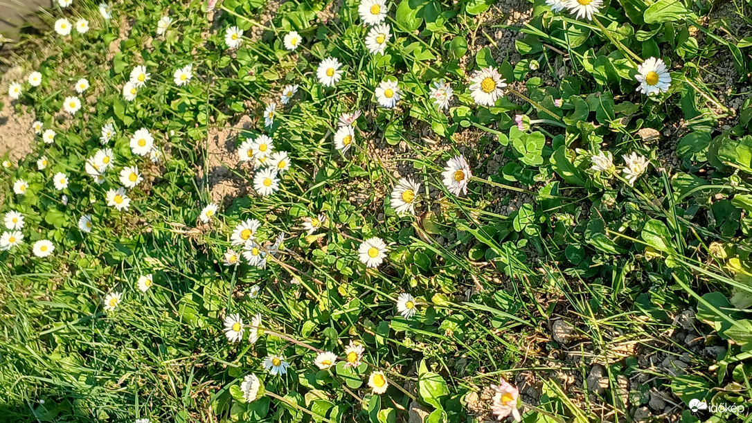 Bajna