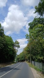 Bajna