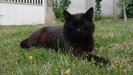 Bajna