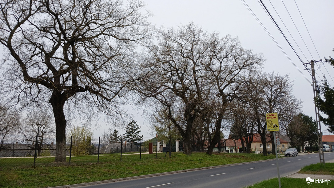Bajna