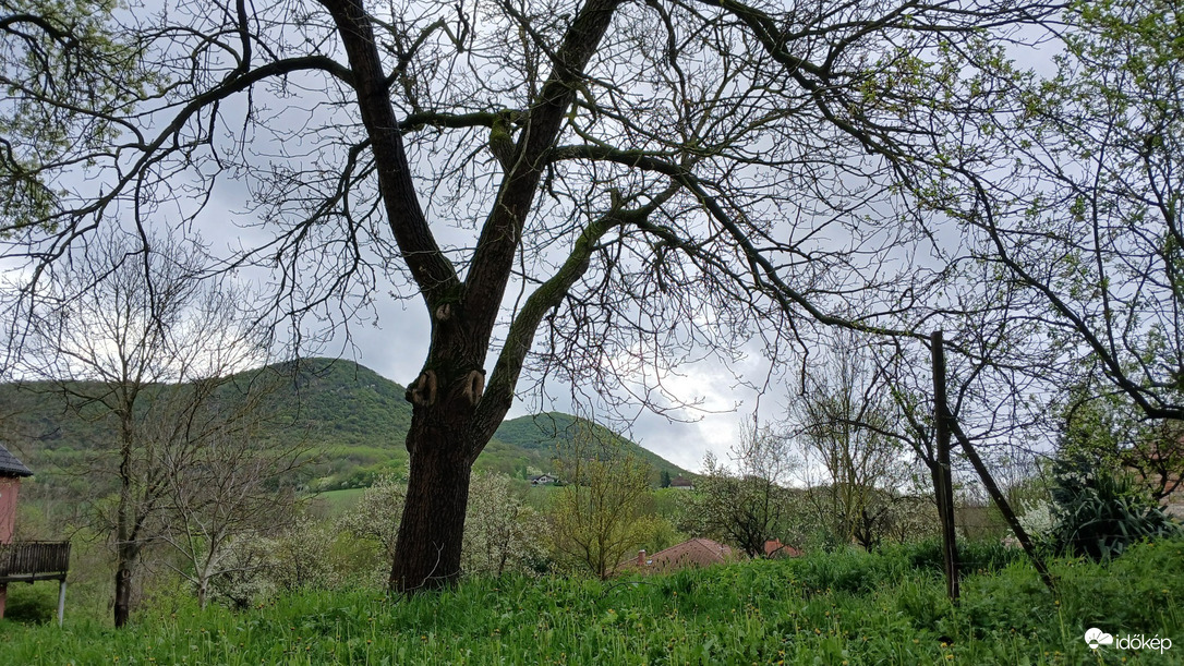 Bajna