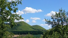 Bajna