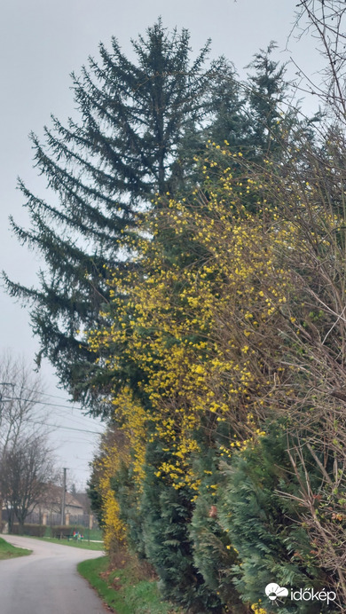 Bajna