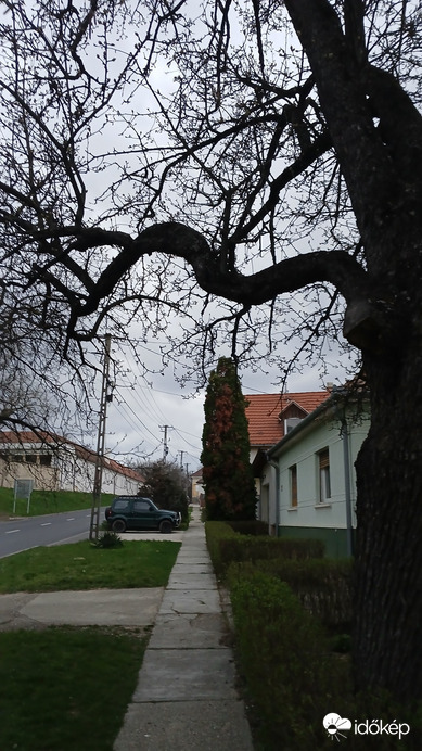 Bajna
