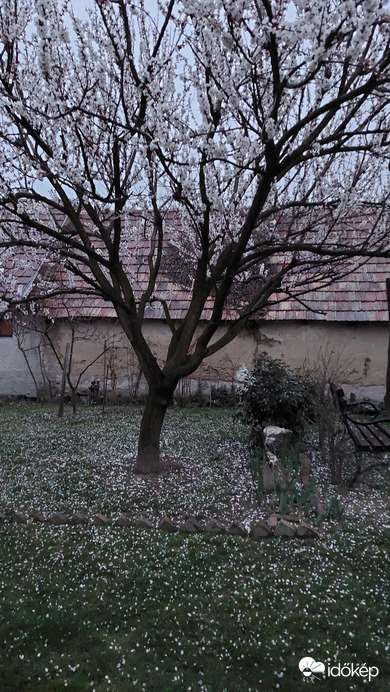 Bajna