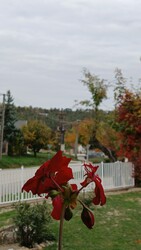 Bajna