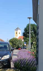 Bajna