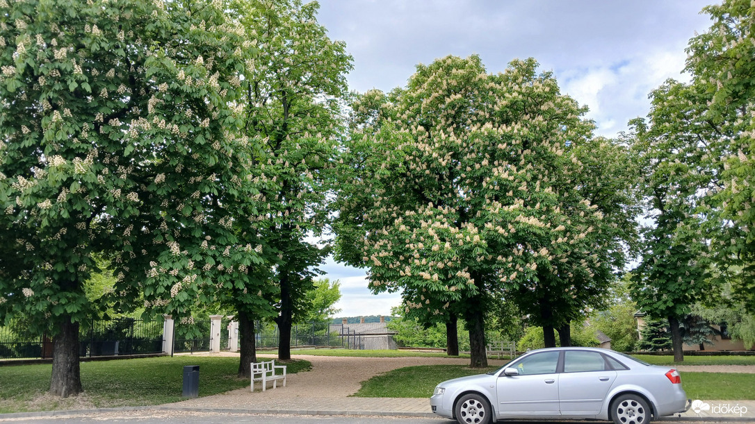 Bajna