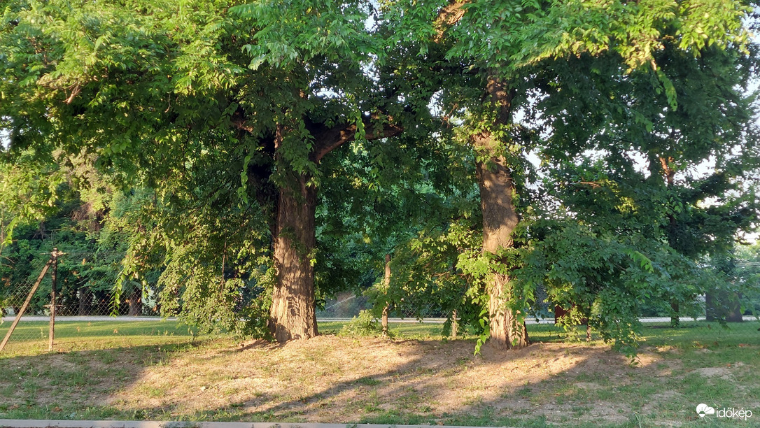 Bajna