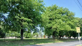 Bajna