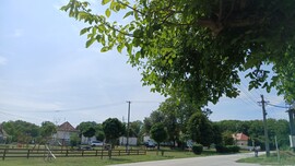 Bajna
