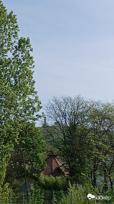 Dorog