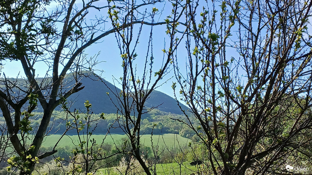 Bajna