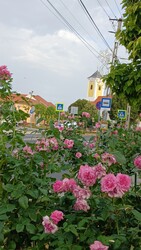 Bajna