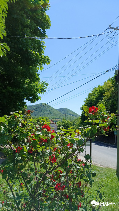 Bajna