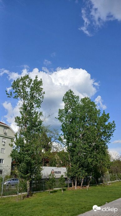 Dorog