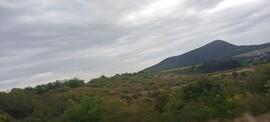 Bajna