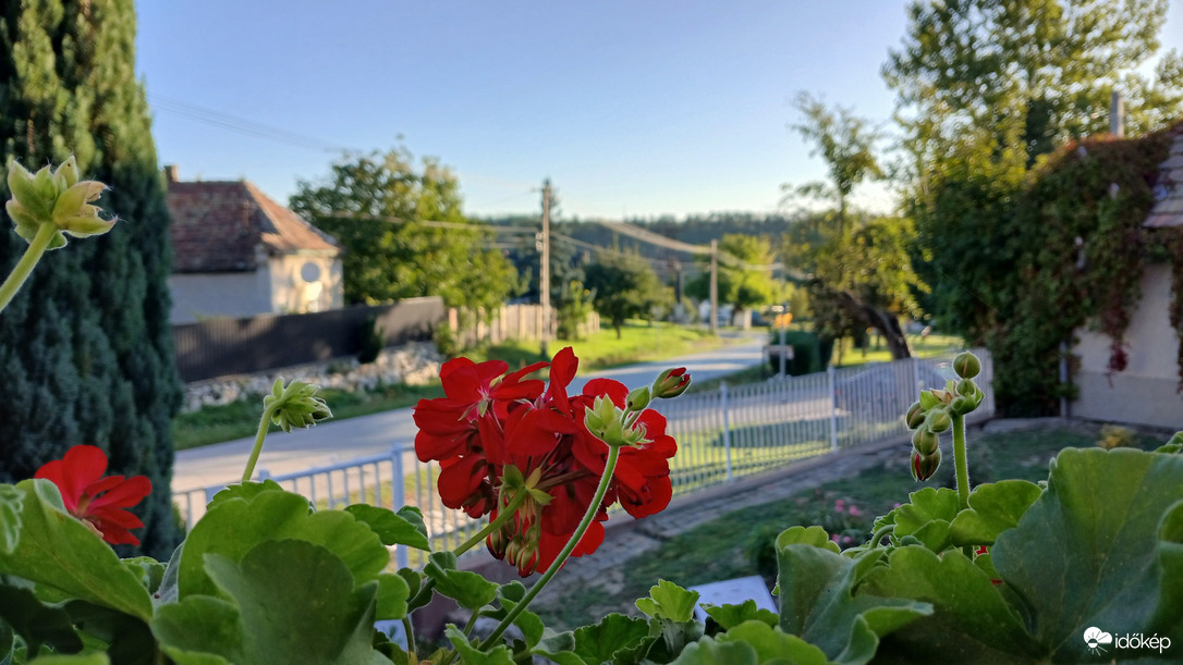 Bajna