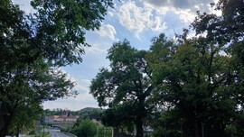 Bajna